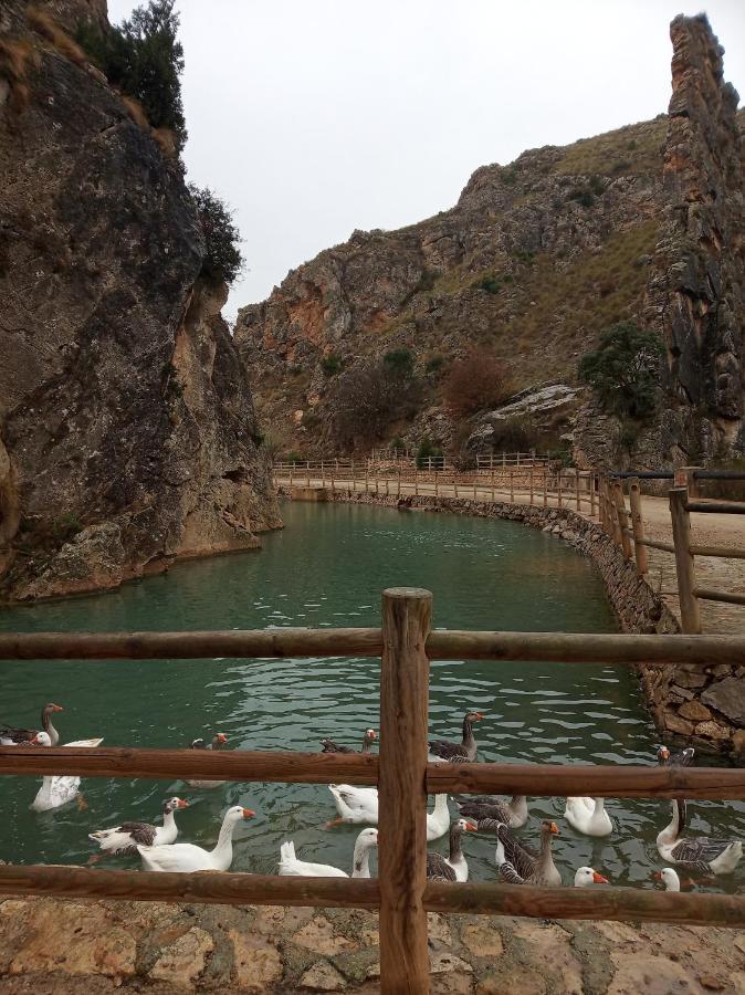 Casa Rural Tia Catalina Fuentealbilla 외부 사진